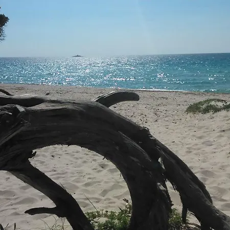 Istentales * Alghero