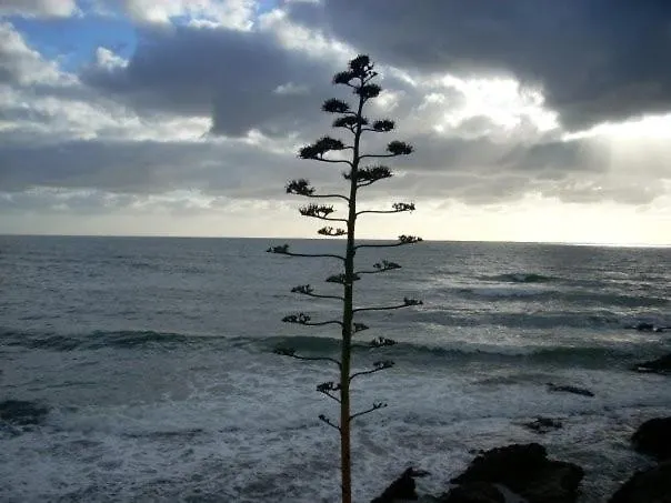 ベッド・アンド・ブレックファスト Istentales アルゲーロ