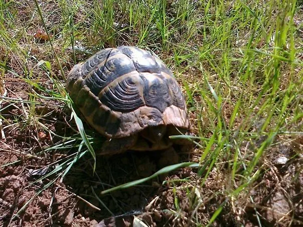 Istentales Bed & Breakfast Alghero